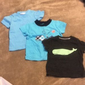 Baby boys shirts
